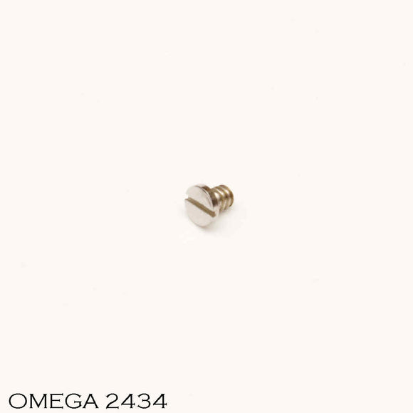 Omega 1480-2434, Screw for rotor axle