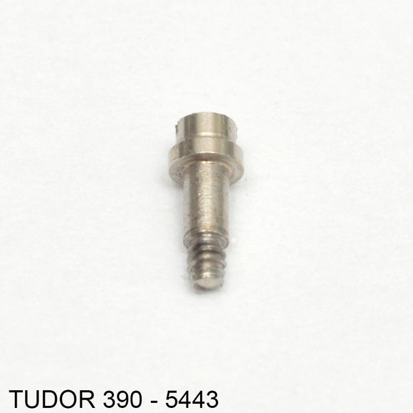 Tudor 390-5443, Screw for setting lever