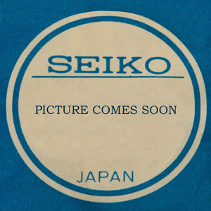 Seiko 6205B-231617, Third wheel & pinion