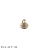 ETA 2450-51498, Screw for oscillating weigth bearing