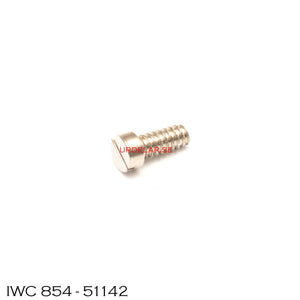 IWC 854-51142, Screw for automatic device bridge