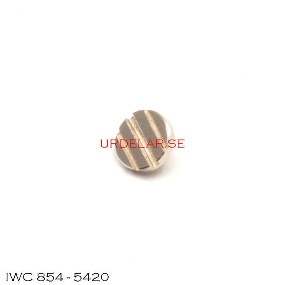 IWC 854-5420, Screw for crown wheel
