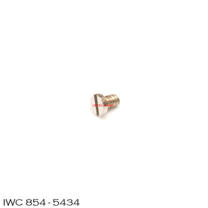 IWC 854-5434, Screw for click & spring