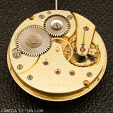 Omega 17" LOB