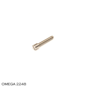 Omega 500-2248, Screw for adjusting the regulator spring