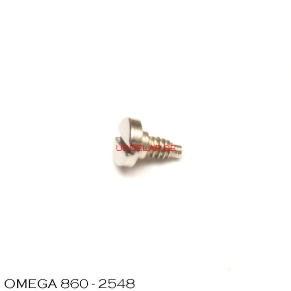 Omega 860-2548, Screw for supporting coupling clutch