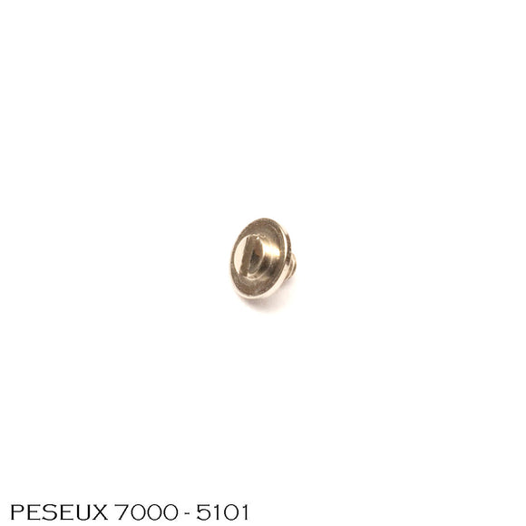 ETA 7000-5101, Screw for case