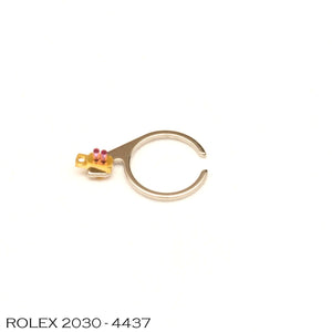 Rolex 2030-4437, Regulator