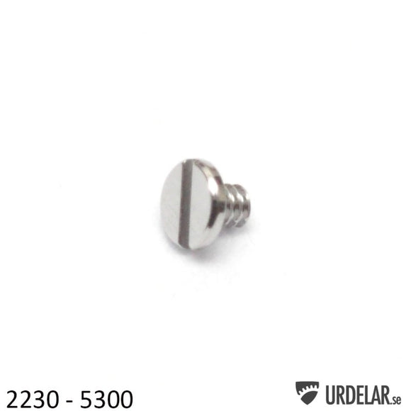 Rolex 2230-5300, Screw for click & yoke for sliding gear, generic
