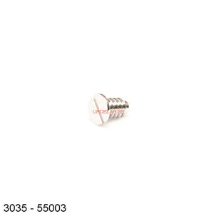 Rolex 3035-55003, Screw for minute pinion & pallet br, setting lever jumper, generic