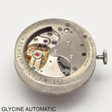 GLYCINE AUTOMATIC