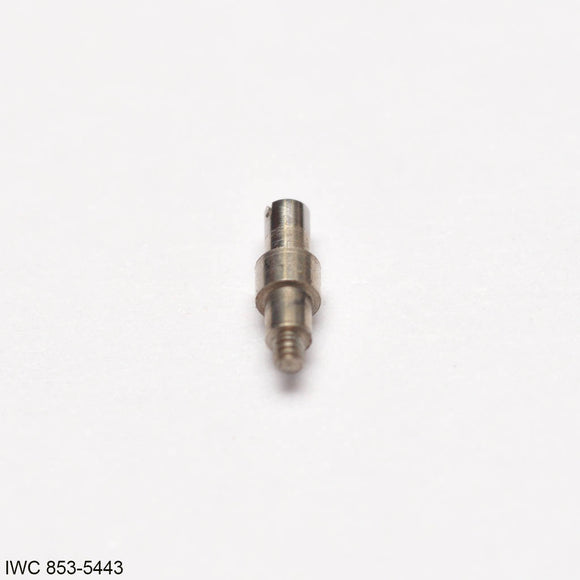 IWC 851-5443, Screw For Setting Lever