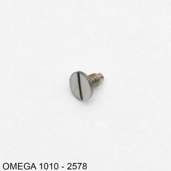 Omega 1010-2578, Screw for safety ring for rotor