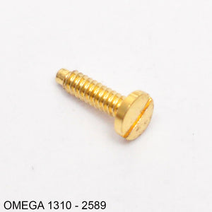 Omega 1310-2589, Screw for earth
