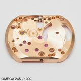 Omega 245-1000, Plate