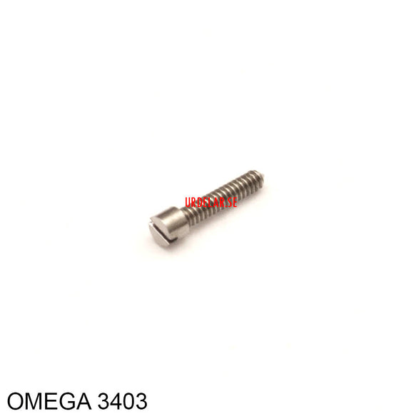 Omega 550-3403, Screw for adjusting the regulator spring
