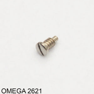Omega 620-2621, Screw for casing clamp