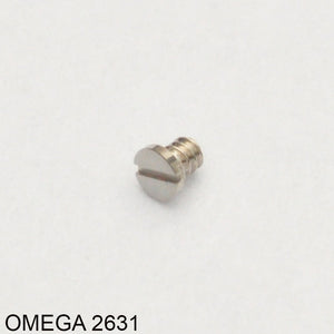 Omega 1000-2631, Screw for rotor axle