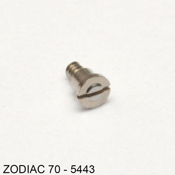 Zodiac 70-5443, Screw for setting lever